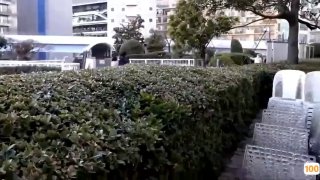 福利视频合集一区⭕❌欧美精品A片XXX⭕❌欧美性猛交XXXX乱大交极品-无码av电影在线观看不卡